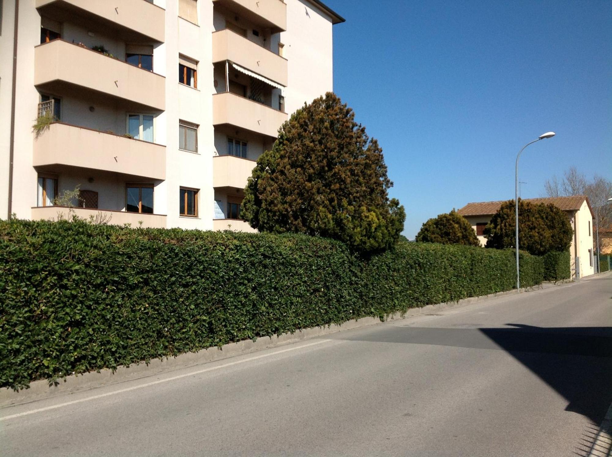 Cisanello House Hotel Pisa Exterior photo